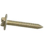 Slotted Screw